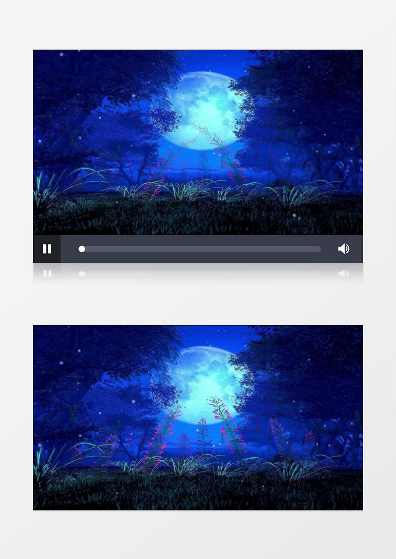 夜光下盛开的花束背景视频素材