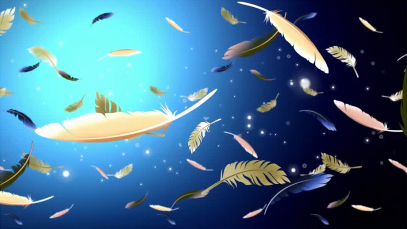 动画动态羽毛飞舞飘落背景视频素材