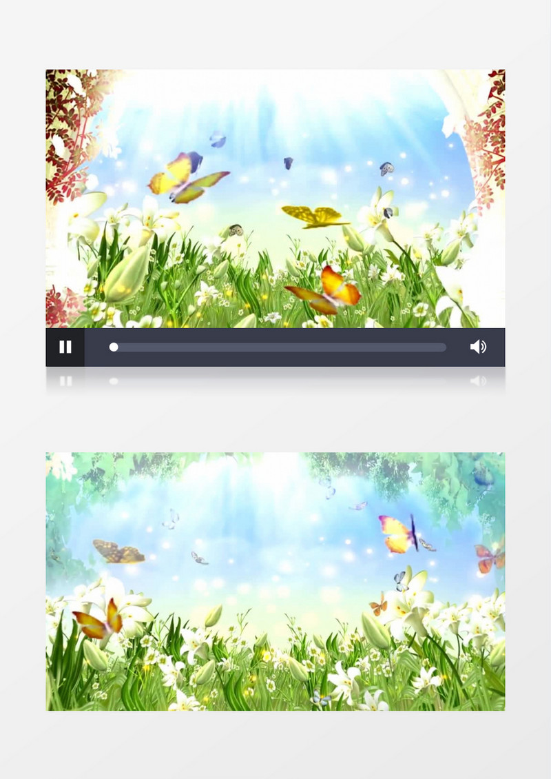 唯美浪漫的蝶恋花景色背景视频素材