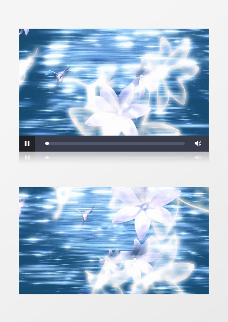 洁白梦幻百合花背景视频素材