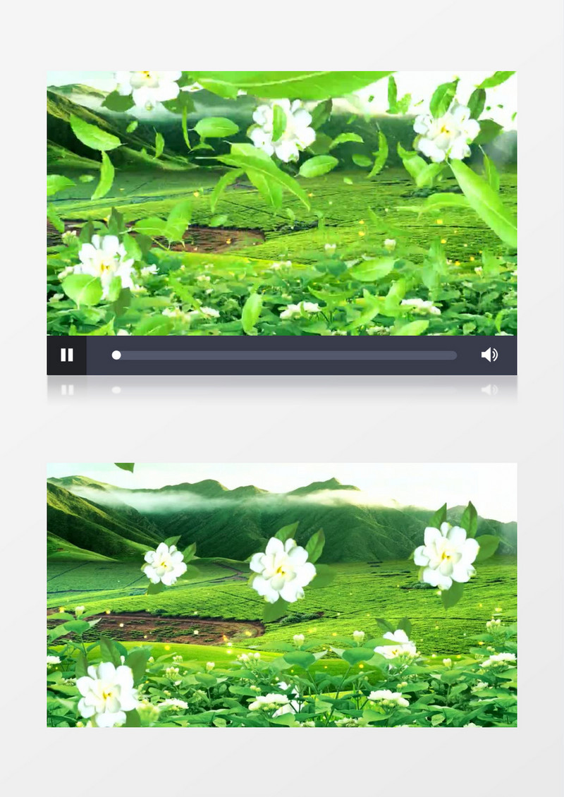 动画动态茉莉花茶园风光(有音乐)背景视频素材