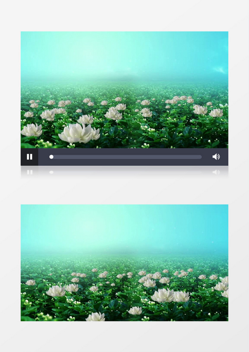 动画动态白色茉莉花海背景视频素材