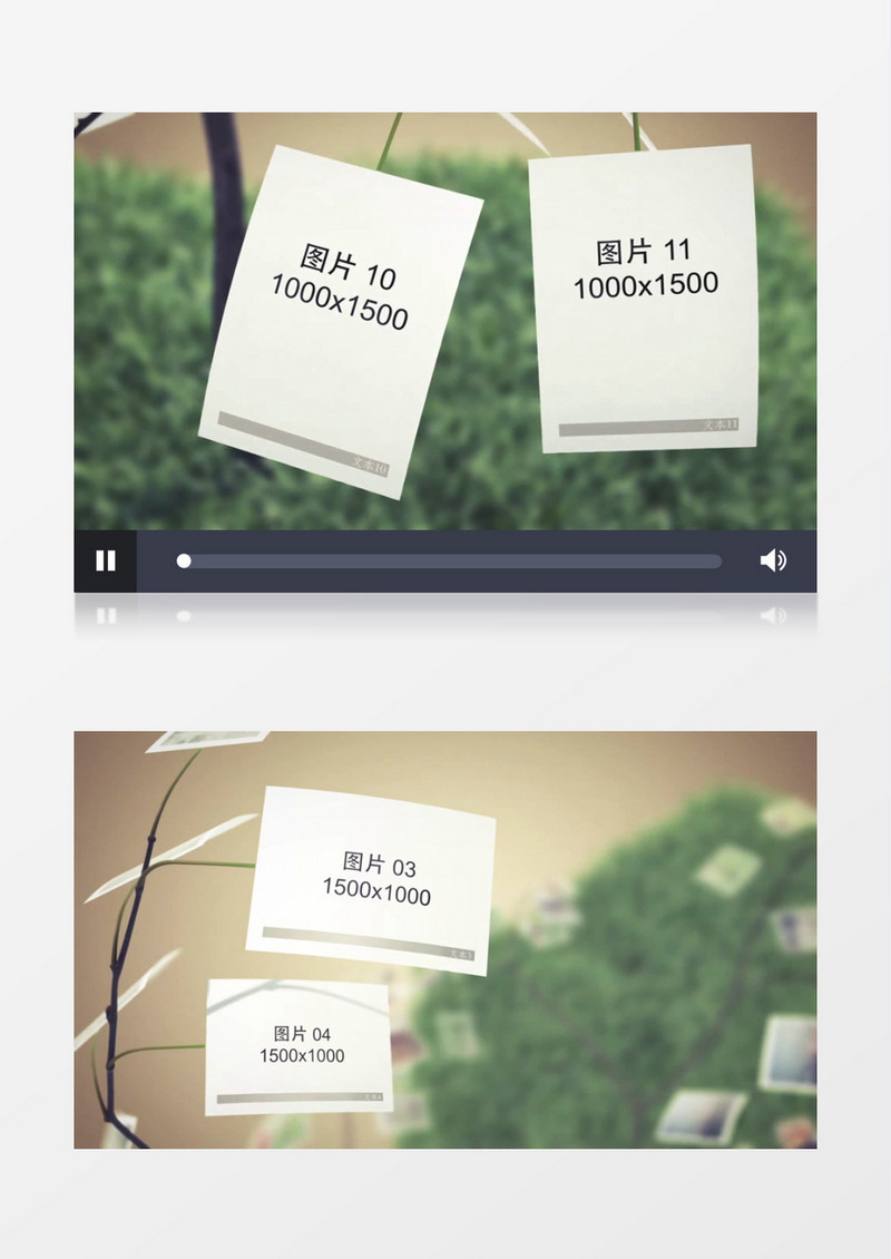 大树相册照片纪念册AE视频模版