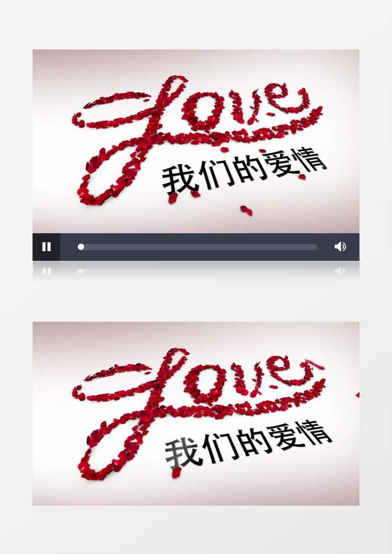 浪漫玫瑰花瓣飘落形成LOGO片头AE视频模板