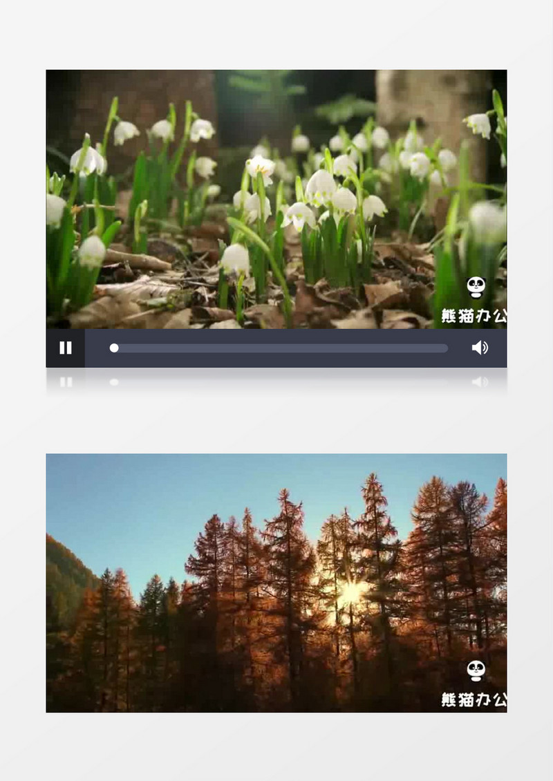 季节交替四季变换视频素材ae模板