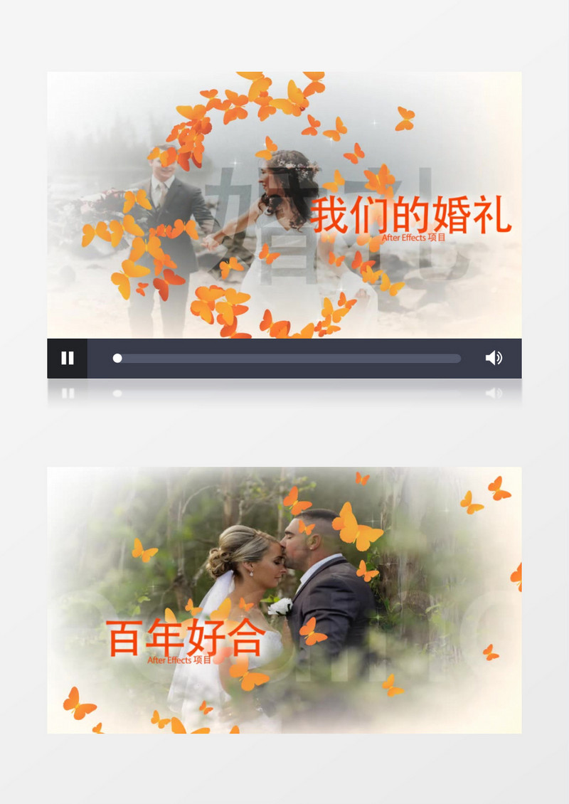 花蝶婚礼包装动画AE模板