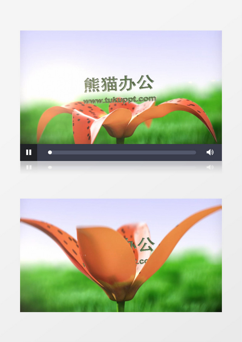种子幼苗朝阳生长开花Logo展示