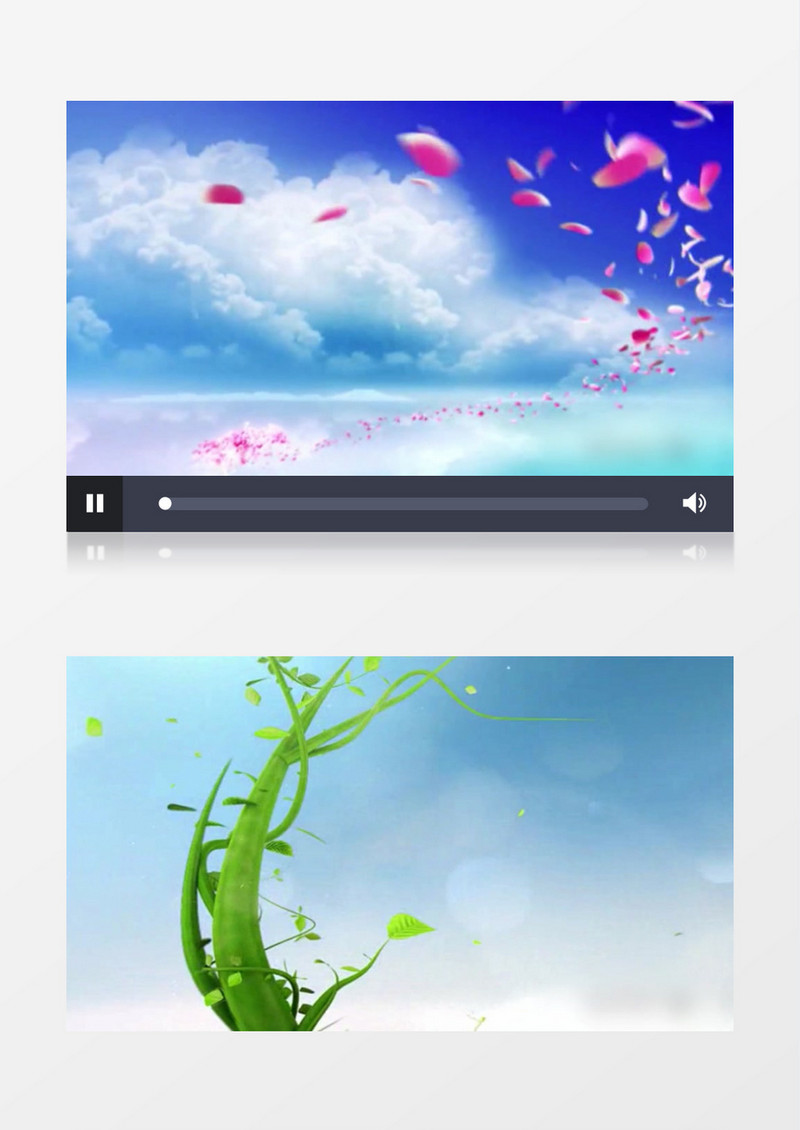 健康中国栏目片头模板