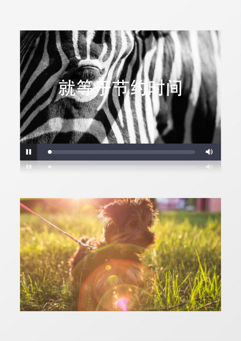动感文字排版视频片头AE模板